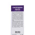 Смородина черная «Гулливер», традиционные сорта, саженец, туба, 1 шт. - Фото 2