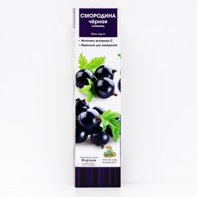 Смородина черная традиционные сорта 