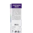 Смородина черная «Черный жемчуг», традиционные сорта, туба, 1 шт. - Фото 2