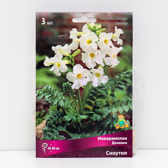 Инкарвиллея Делавея Сноутоп 3 шт., р-р I, Весна 2026 - Фото 1