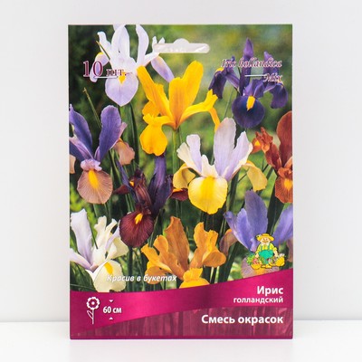 Ирис голландский «смесь окрасок» , луковица в перфорированном пакете, 10 шт., р-р 6/7