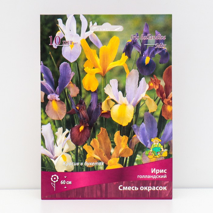 Ирис голландский «смесь окрасок» , луковица в перфорированном пакете, 10 шт., р-р 6/7 - Фото 1