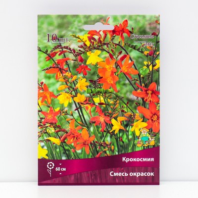 Крокосмия смесь окрасок 10 шт., р-р 6/7, Весна 2026