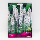 Лиатрис колосковый Альба, луковицы в пакете с перфорацией, 10 шт., р-р 8/10 - Фото 1