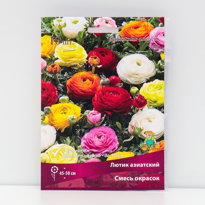 Лютик азиатский смесь окрасок, 10 шт., р-р 7/8, Осень 2025 - Фото 1