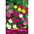 Мирабилис ялапа Смесь окрасок, р-р I, 5 шт, Весна 2026 9582120