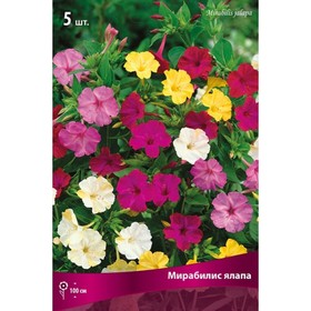 Мирабилис ялапа Смесь окрасок, р-р I, 5 шт, Весна 2026 9582120