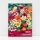 Спараксис трёхцветный Cмесь окрасок, 10 шт., р-р 5/+ - Фото 1