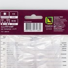 Тигридия павлинья Вайт, луковицы в пакете с перфорацией, 10 шт., р-р 5/7 - Фото 2