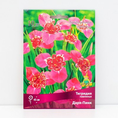 Луковица Тигридия павлинья Дарк-Пинк, 10 шт., р-р 5/7