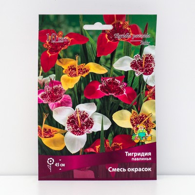 Луковица Тигридия павлинья Смесь окрасок, 10 шт., р-р 5/7