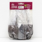 Аквилегия обыкновенная «Бордо Барлоу», корневище в пакете с торфогрунтом, 1 шт., р-р I - Фото 2