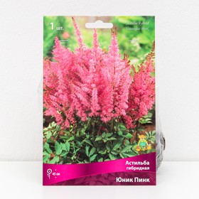 {{photo.Alt || photo.Description || 'Астильба гибридная патио «Юник Пинк», 1 шт., р-р I, Осень 2025'}}