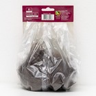 Астильба гибридная патио "Юник Руби Ред", 1 шт, р-р I, Весна 2024 - Фото 2