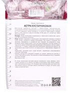 Астра кустарниковая «Аннеке», р-р I, 1 шт., Осень 2025 - Фото 3