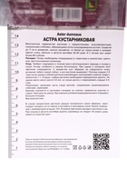 Астра кустарниковая «Аполло», корневище в пакете с торфогрунтом, р-р I, 1 шт. 9582163 - фото 16351645