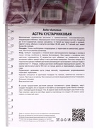 Астра кустарниковая «Блау Лагуне», корневище в пакете с торфогрунтом, р-р I, 1 шт. 9582164 - фото 5066840