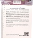 Астра новобельгийская «Вайт Ледиз», р-р I, 1 шт., Осень 2025 - Фото 3