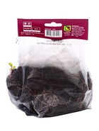 Астра новобельгийская «Мари Баллард», корневище в пакете с торфогрунтом, р-р I, 1 шт. - Фото 2