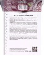 Астра новобельгийская «Мари Баллард», корневище в пакете с торфогрунтом, р-р I, 1 шт. - Фото 3