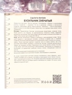 Бузульник зубчатый «Отелло», корневище в пакете с торфогрунтом, р-р I, 1 шт. 9582177 - фото 16368443