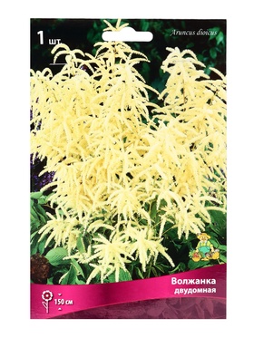 {{photo.Alt || photo.Description || 'Волжанка двудомная, р-р I, 1 шт, Весна 2026'}}