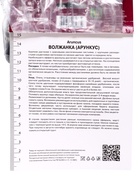 Волжанка двудомная р-р I, 1 шт. Весна 2026 - Фото 3