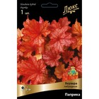 Гейхера (Хеухера) гибридная Паприка, р-р I, 1 шт, Весна 2026 9582184
