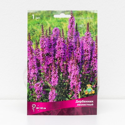 Дербенник иволистный 1 шт., р-р I, Весна 2026