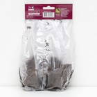 Дербенник иволистный 1 шт., р-р I, Весна 2026 - Фото 2