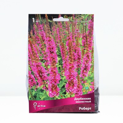 Дербенник иволистный Роберт, корневище в пакете с торфогрунтом, р-р I, 1 шт.