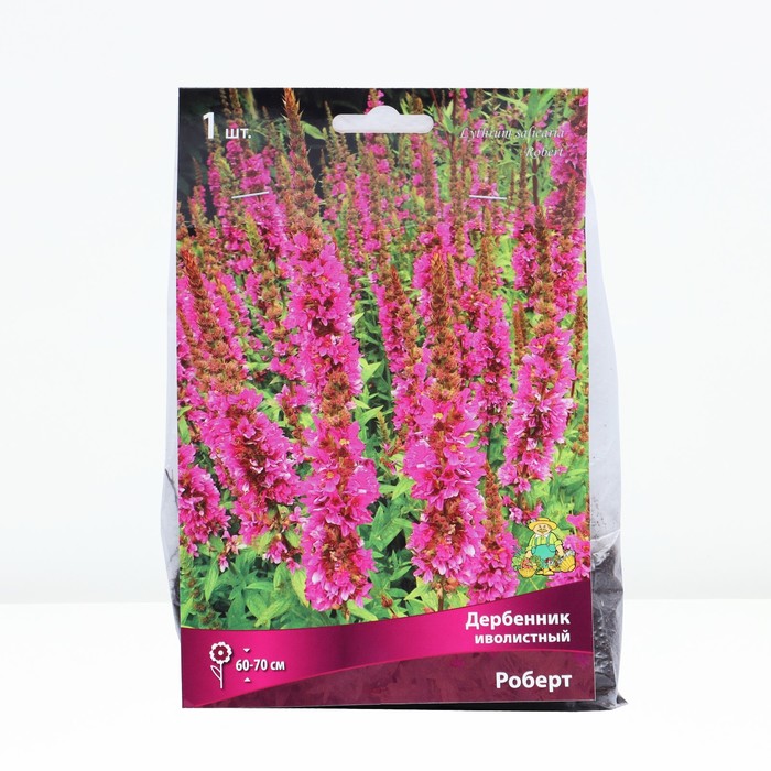 Дербенник иволистный Роберт, корневище в пакете с торфогрунтом, р-р I, 1 шт. - Фото 1