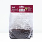 Дербенник иволистный Роберт, корневище в пакете с торфогрунтом, р-р I, 1 шт. - Фото 2