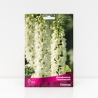 Дельфиниум "тихоокеанский Галахад ", 1 шт, р-р I, Весна 2025 - Фото 1