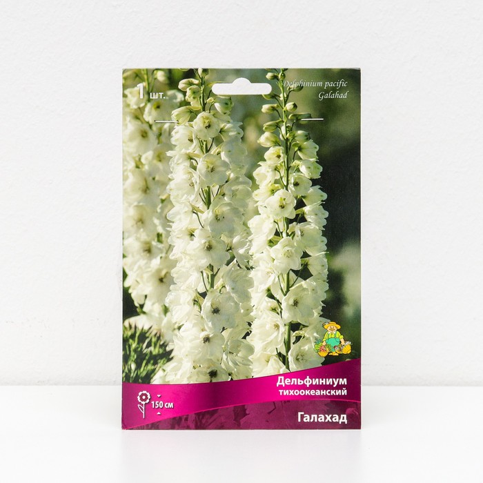 Дельфиниум "тихоокеанский Галахад ", 1 шт, р-р I, Весна 2025 - Фото 1