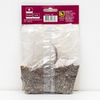 Дельфиниум "тихоокеанский Галахад ", 1 шт, р-р I, Весна 2025 - Фото 2