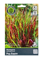 Императа цилиндрическая «Ред Барон», 1 шт., Весна 2026, «ПОИСК» - Фото 1