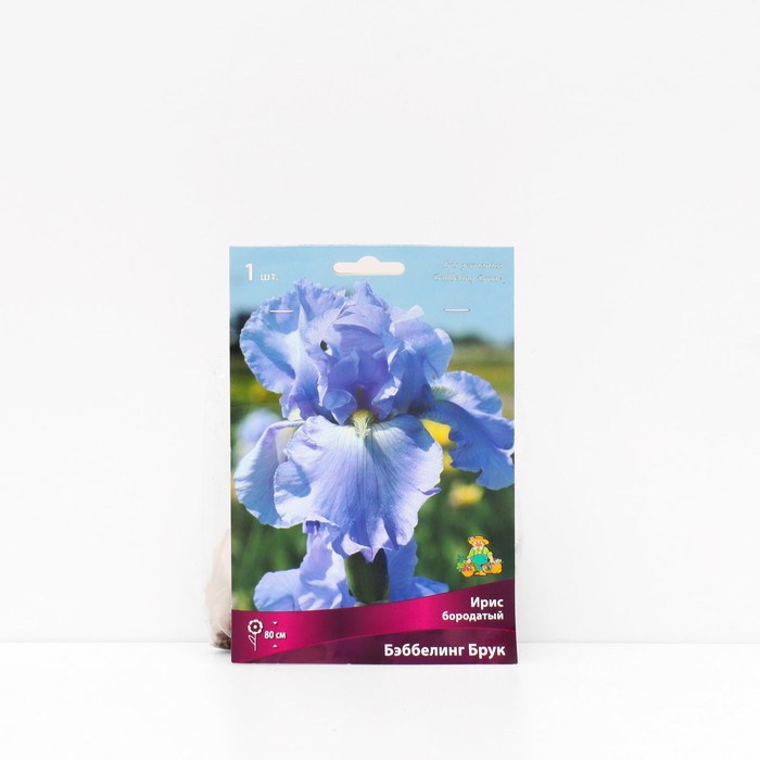 Корневище Ирис бородатый «Бэббелинг Брук », 1 шт., р-р I - Фото 1