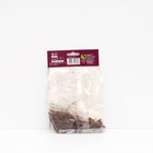 Корневище Ирис бородатый «Бэббелинг Брук », 1 шт., р-р I - Фото 2