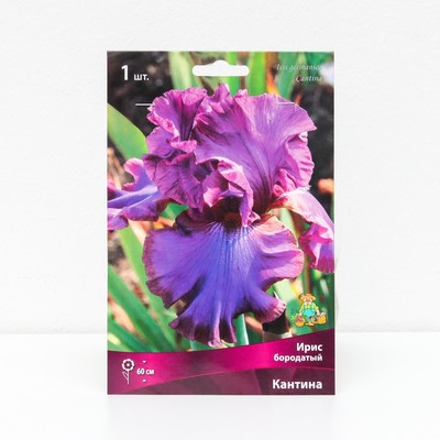 Корневище Ирис бородатый «Кантина », 1 шт., р-р I