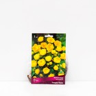 Купальница «культурная Голден Квин », корневище в пакете с торфогрунтом, 1 шт., р-р I - Фото 1