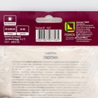 Люпин многолистный "Ноублмейден ", 1 шт, р-р I, Весна 2025 - Фото 2