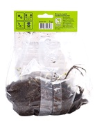 Монарда гибридная Гадэнвью Скарлет 1 шт., р-р l, Весна 2026 - Фото 2