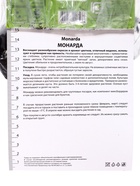 Монарда гибридная «Гадэнвью Скарлет», корневище в пакете с торфогрунтом, 1 шт., р-р l 9582238 - фото 4751259