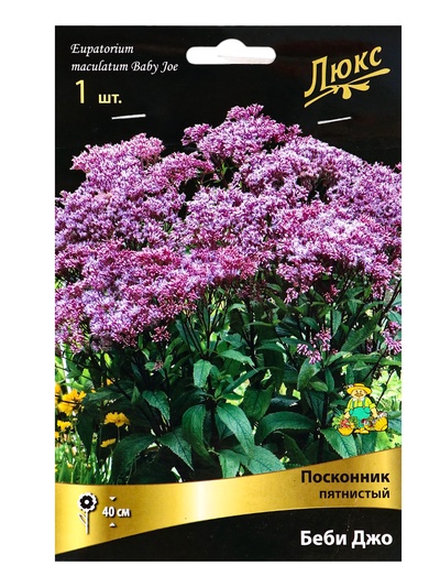 Посконник «пятнистый Беби Джо», 1 шт., р-р I
