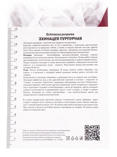 Эхинацея пурпурная Даблдекер 1 шт. р-р I, Весна 2026