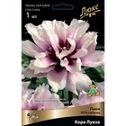Пионы ИТО-гибриды Кора Луиза 1 шт., р-р 2-3, Весна 2026  (артикул 9582284)  большой выбор товаров оптом и в розницу по низким ценам с доставкой