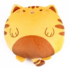 Мягкая игрушка-подушка «Кот», 43 см, цвет оранжевый - фото 10365233