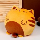 Мягкая игрушка-подушка «Кот», 43 см, цвет оранжевый - фото 3252218