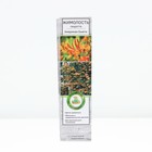 Жимолость Гекротта Американ Бьюти 1 шт., туба, Весна 2026 - Фото 1